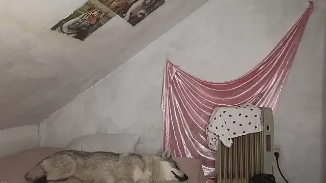 MAMA69LAMA online show from March 2026 07:40:02 PM