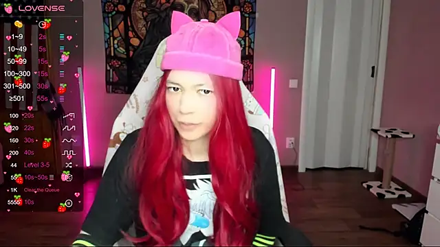 Snapshot of Project_hisoka chatting on January 2025 10:02:01 AM Project hisoka online show from January 2025 10:02:01 AM