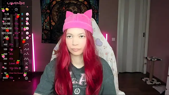 Snapshot of Project_hisoka chatting on January 2025 02:29:01 AM Project hisoka online show from January 2025 02:29:01 AM