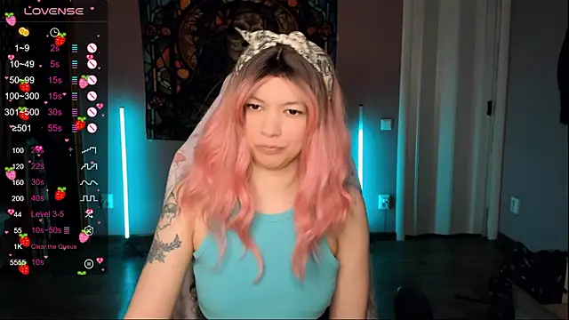 Project hisoka online show from February 2026 01:55:02 AM