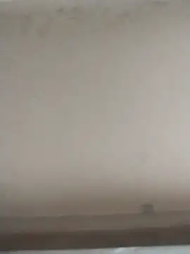 Snapshot of tatoocba88 chatting on November 2025 06:43:01 PM tatoocba88 online show from November 2025 06:43:01 PM