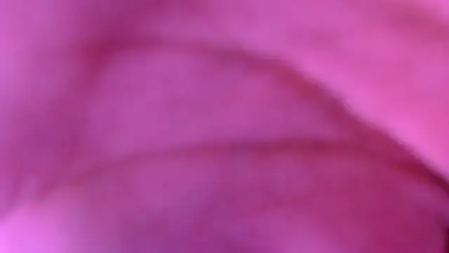 xxxxxchiaratsxxxxx online show from March 2026 02:04:02 AM