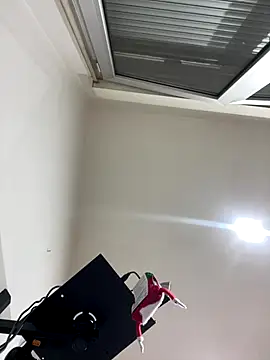 Snapshot of Kamaleonix chatting on December 2025 10:26:02 PM Kamaleonix online show from December 2025 10:26:02 PM