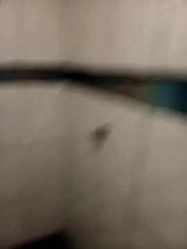 Snapshot of ladygmusic chatting on February 2026 08:51:01 AM ladygmusic online show from February 2026 08:51:01 AM