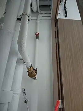 Snapshot of 2tomka52052sex chatting on January 2025 07:03:01 AM 2tomka52052sex online show from January 2025 07:03:01 AM