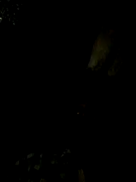 Snapshot of Tamil_boy_age28 chatting on February 2025 05:17:02 PM Tamil boy age28 online show from February 2025 05:17:02 PM