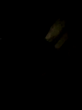 Snapshot of Tamil_boy_age28 chatting on February 2025 05:24:01 PM Tamil boy age28 online show from February 2025 05:24:01 PM