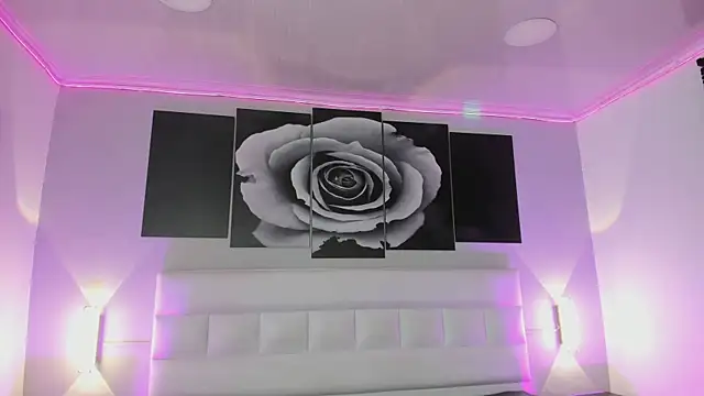 sofi bakerr online show from November 2025 11:42:02 AM