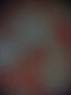 Bengoli--bhabhi online show from November 2025 12:37:02 PM