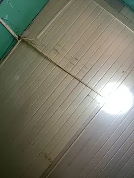 novinhooxz online show from June 2026 03:49:01 PM