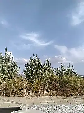 cuplubijoanna online show from September 2025 04:52:01 PM