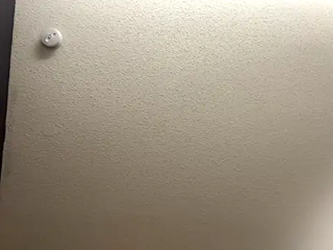 Snapshot of Bigbootylavishh chatting on December 2025 04:35:02 PM Bigbootylavishh online show from December 2025 04:35:02 PM