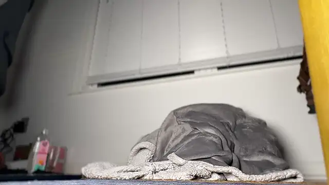 Theonlydreamybull online show from April 2026 04:37:02 AM