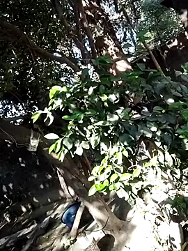 Hot-rubina online show from March 2025 03:57:02 AM