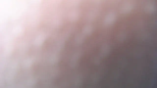 luly pink online show from December 2024 07:22:02 AM