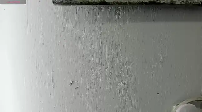 Snapshot of nanni-1 chatting on January 2025 05:59:02 PM nanni-1 online show from January 2025 05:59:02 PM