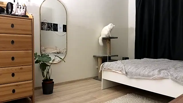 Snapshot of vse_horosho chatting on November 2025 05:23:01 PM vse horosho online show from November 2025 05:23:01 PM