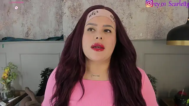 Snapshot of Scarlett_grey1 chatting on December 2024 05:33:02 AM Scarlett grey1 online show from December 2024 05:33:02 AM