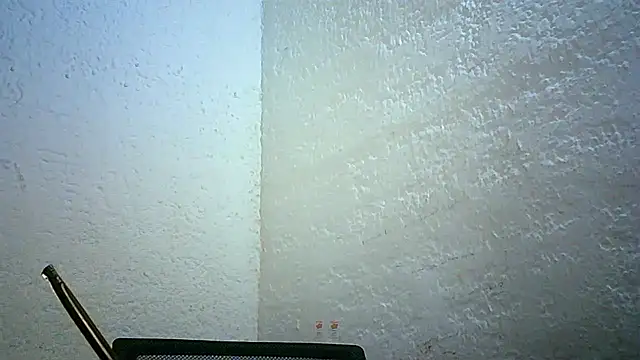 Bellabeltrann online show from November 2025 11:42:02 PM