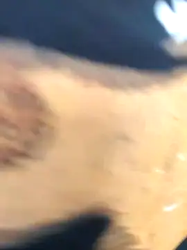 martinna tay online show from March 2026 03:19:01 AM