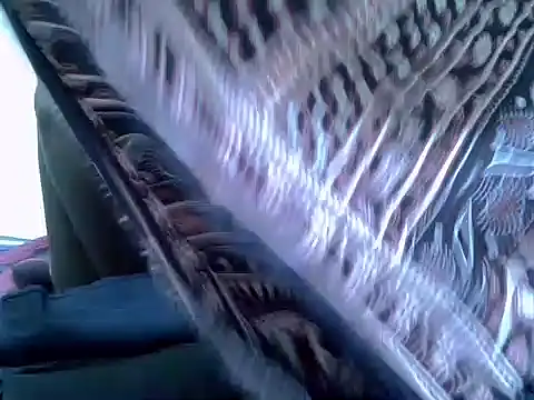 Snapshot of pointy_bloom chatting on November 2025 03:33:02 PM pointy bloom online show from November 2025 03:33:02 PM