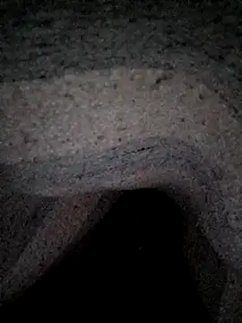 Janle 19c online show from December 2024 03:27:02 AM