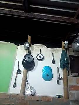 Janle 19c online show from January 2025 11:27:02 PM