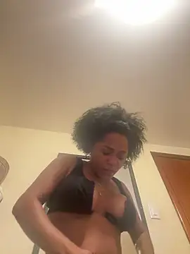 Noviostoxico online show from December 2025 03:13:01 AM