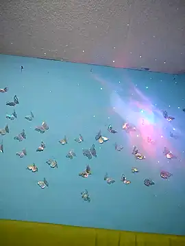 evelyn prince1 online show from January 2026 01:00:02 AM