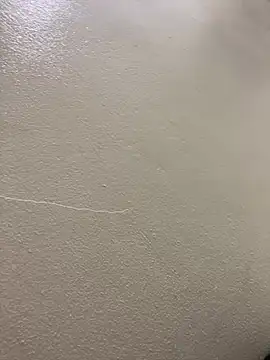 Louis Baby online show from January 2025 04:41:01 PM