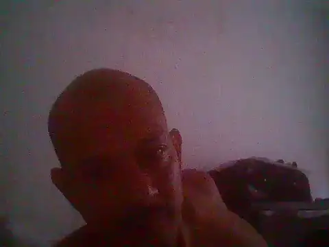 snoppie online show from June 2026 12:41:02 PM