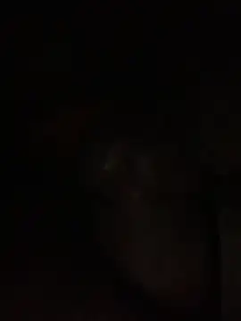 Snapshot of ThickD619 chatting on December 2024 12:23:01 PM ThickD619 online show from December 2024 12:23:01 PM