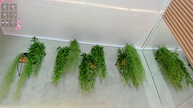 Snapshot of Lana_Lann chatting on January 2025 06:01:02 PM Lana Lann online show from January 2025 06:01:02 PM