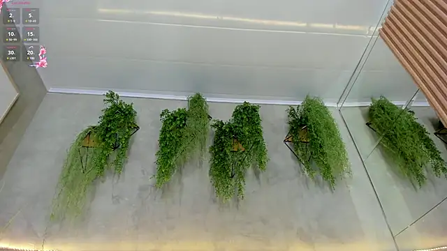 Snapshot of Lana_Lann chatting on March 2025 03:06:01 PM Lana Lann online show from March 2025 03:06:01 PM