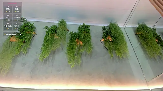 Snapshot of Lana_Lann chatting on September 2025 11:56:02 AM Lana Lann online show from September 2025 11:56:02 AM