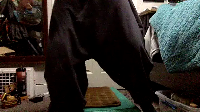 Snapshot of Robriguezxxx chatting on December 2024 07:56:02 AM Robriguezxxx online show from December 2024 07:56:02 AM