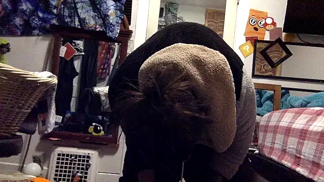 Snapshot of Robriguezxxx chatting on March 2025 05:39:01 AM Robriguezxxx online show from March 2025 05:39:01 AM