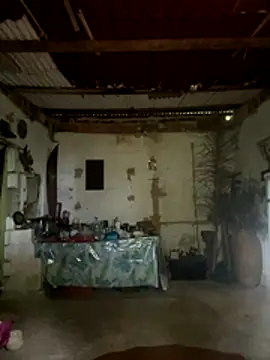 Snapshot of amy_gata chatting on November 2025 10:12:02 AM amy gata online show from November 2025 10:12:02 AM