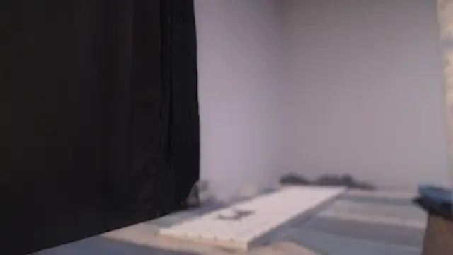 flexingplexico online show from December 2024 09:13:01 AM