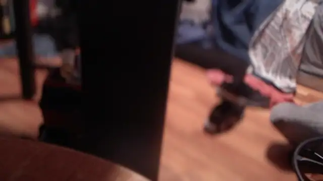 flexingplexico online show from March 2025 08:48:02 AM