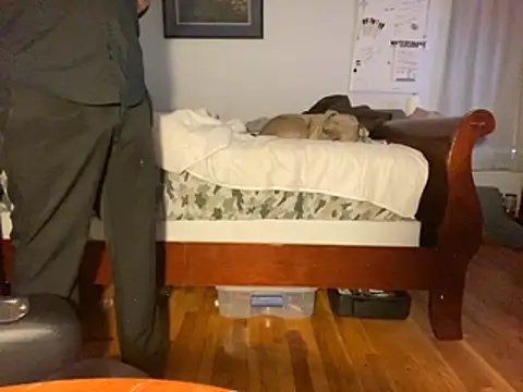 flexingplexico online show from January 2026 01:06:02 PM