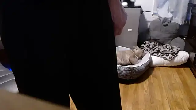 flexingplexico online show from February 2026 10:50:02 PM