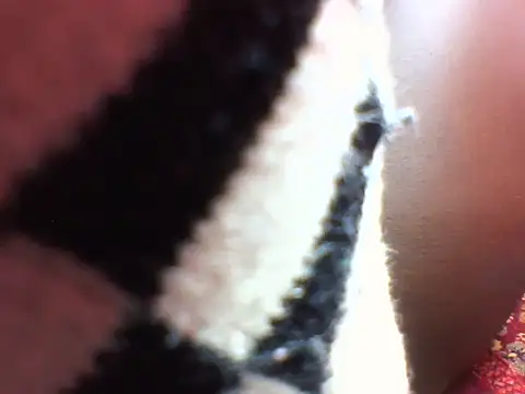 Snapshot of Princess_Tamara chatting on November 2025 11:36:02 PM Princess Tamara online show from November 2025 11:36:02 PM