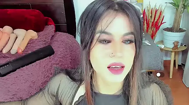 stefany sexy  online show from March 2025 02:40:02 AM