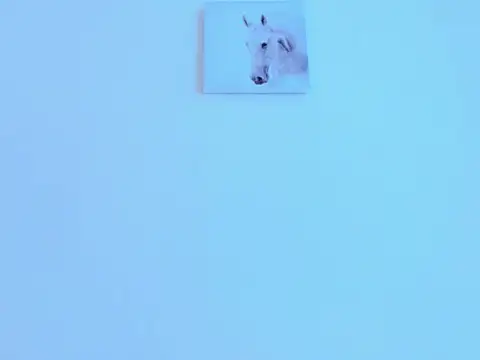 Snapshot of silvano_torres chatting on February 2026 05:00:02 PM silvano torres online show from February 2026 05:00:02 PM