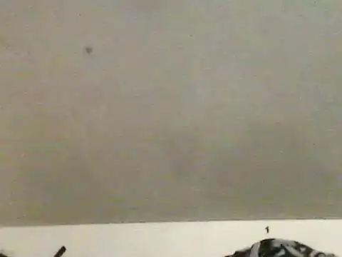 Snapshot of chubbybear2cum chatting on February 2025 10:33:02 AM chubbybear2cum online show from February 2025 10:33:02 AM