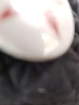 taaylor33 online show from February 2026 08:20:01 PM