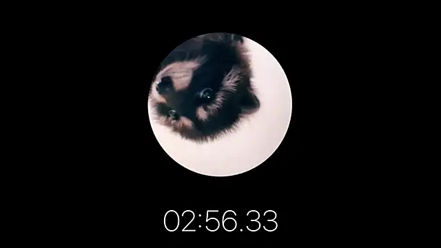 Snapshot of les_mod_sc2 chatting on February 2025 01:59:01 PM les mod sc2 online show from February 2025 01:59:01 PM