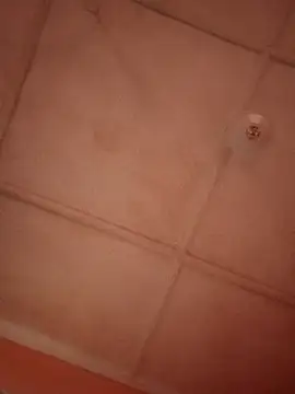 Snapshot of bebsexy chatting on December 2025 12:54:01 PM bebsexy online show from December 2025 12:54:01 PM