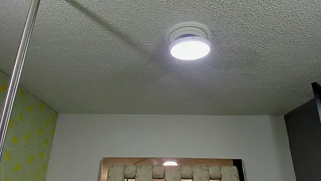 Snapshot of NikolPervertUnlimit chatting on February 2026 08:51:01 AM NikolPervertUnlimit online show from February 2026 08:51:01 AM